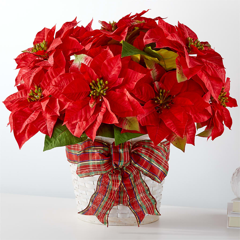 Happiest Holidays Poinsettia – Daisy Day Florist, Avondale Estates GA