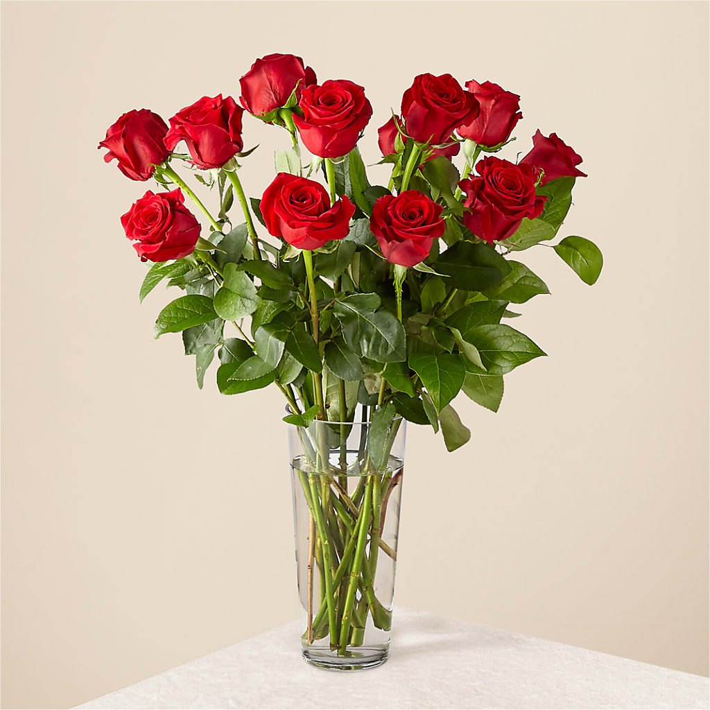Long Stem Red Rose Bouquet – Daisy Day Florist, Avondale Estates GA
