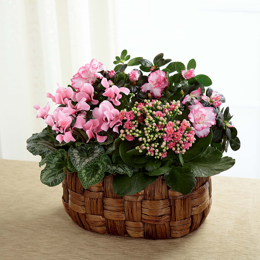 Pink Assortment – Daisy Day Florist, Avondale Estates GA