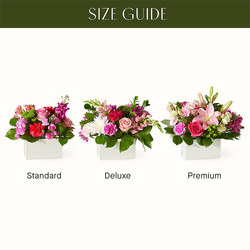 Sweetberry Box – A Florist Original – Daisy Day Florist, Avondale Estates GA