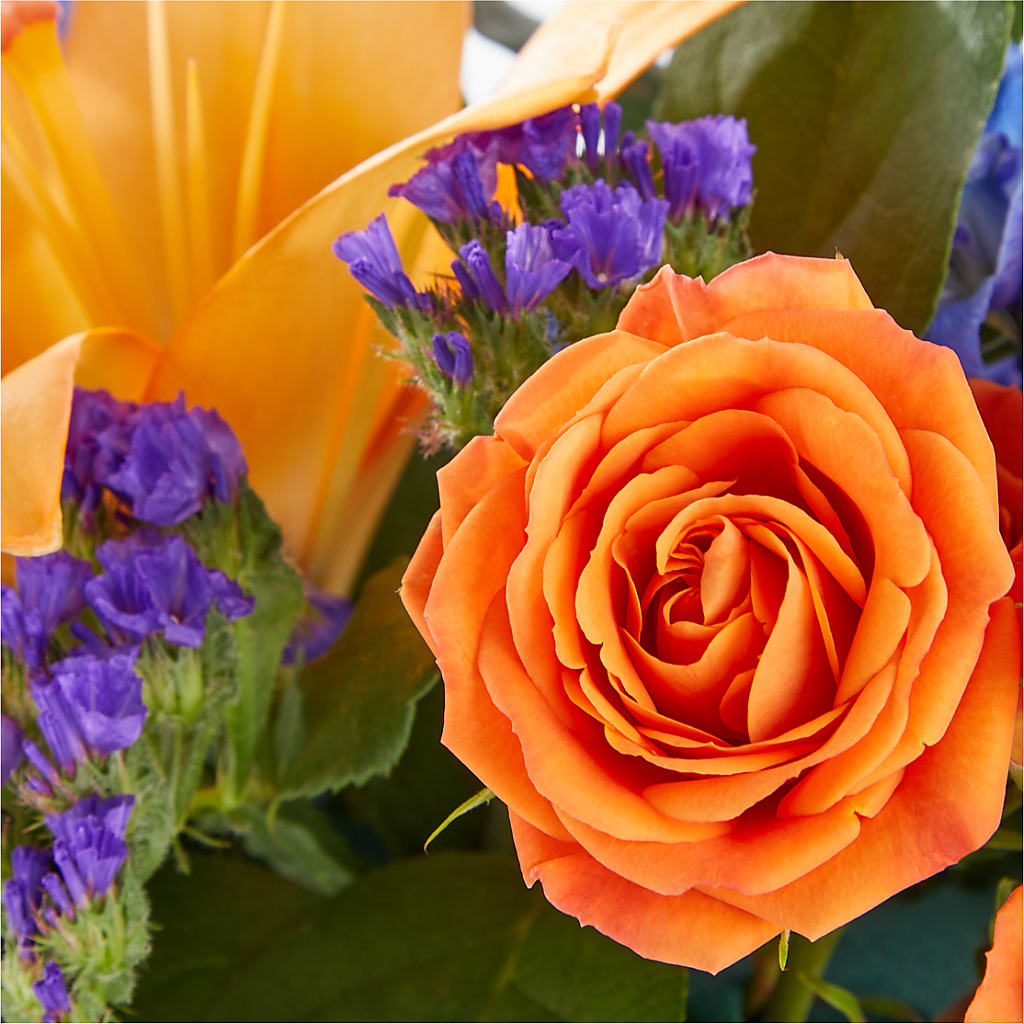 Radiant Citrus Box Bouquet – Daisy Day Florist, Avondale Estates GA