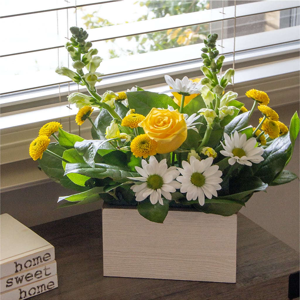 Sun Salutation Box Bouquet – Daisy Day Florist, Avondale Estates GA