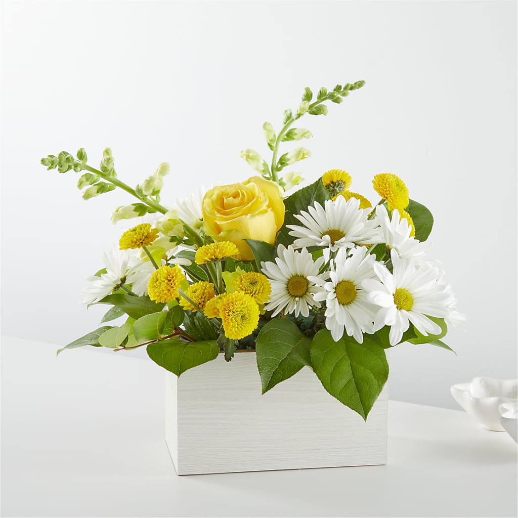 Sun Salutation Box Bouquet – Daisy Day Florist, Avondale Estates GA