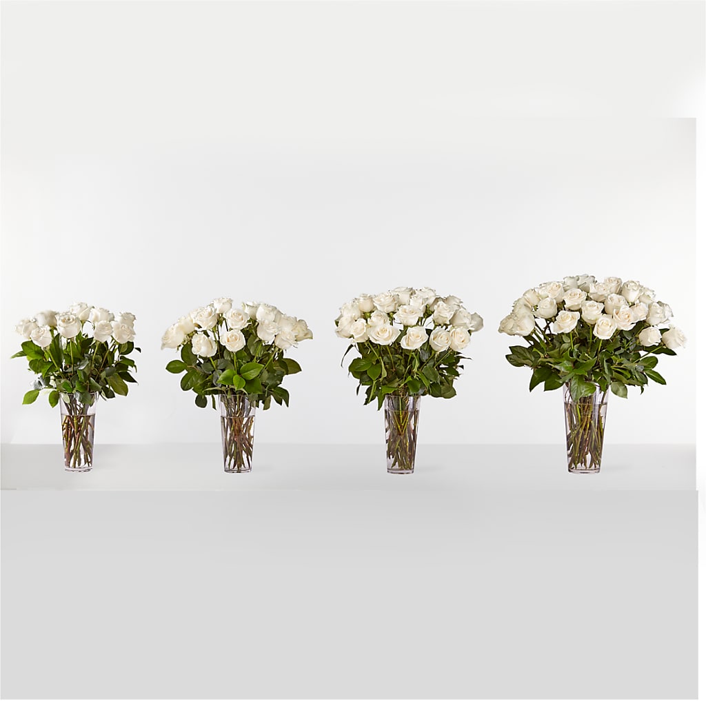 Long Stem White Rose Bouquet – Daisy Day Florist, Avondale Estates GA