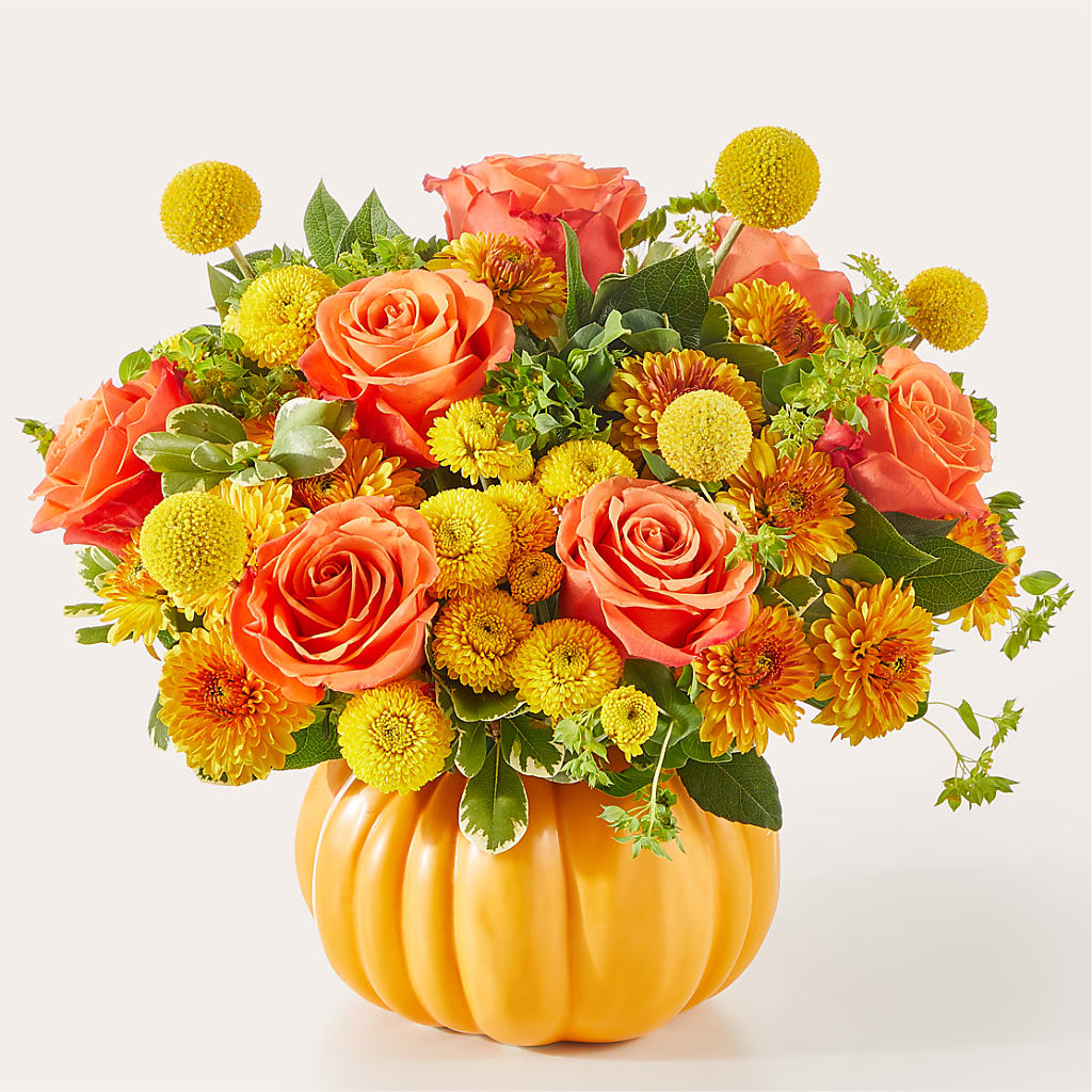 Gourdgeous Pumpkin – Daisy Day Florist, Avondale Estates GA
