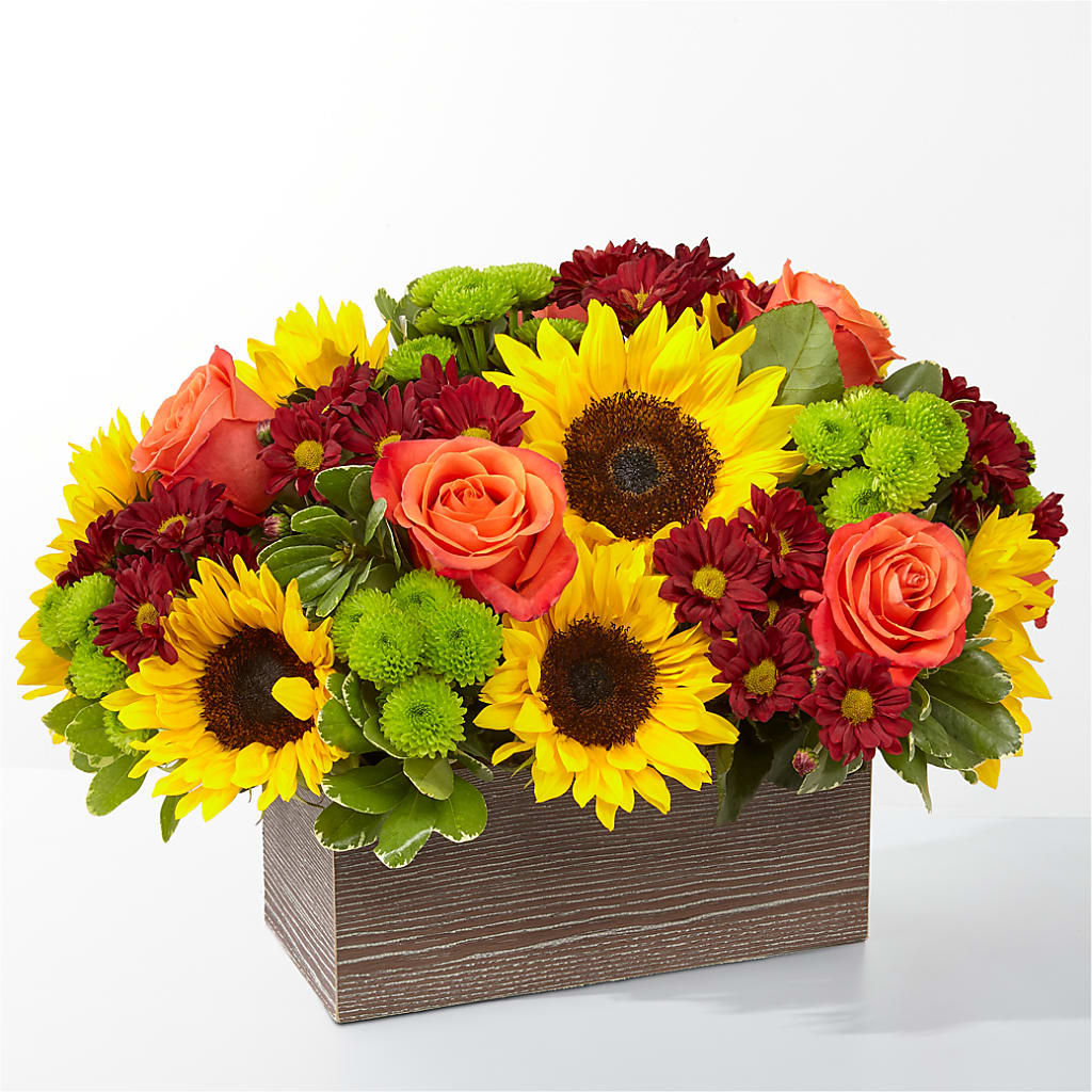 Happy Harvest Garden – Daisy Day Florist, Avondale Estates GA