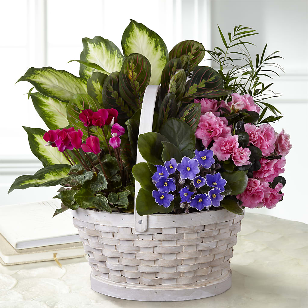 Peaceful Garden Planter – Daisy Day Florist, Avondale Estates GA