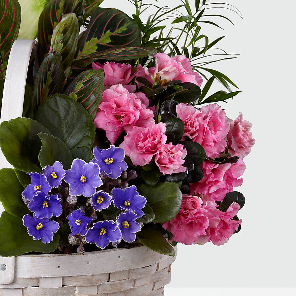 Peaceful Garden Planter – Daisy Day Florist, Avondale Estates GA