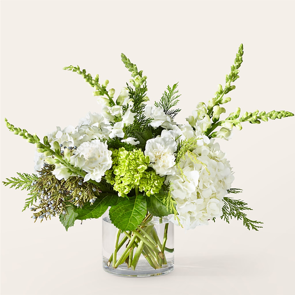 Marshmallows on Top Bouquet – Daisy Day Florist, Avondale Estates GA