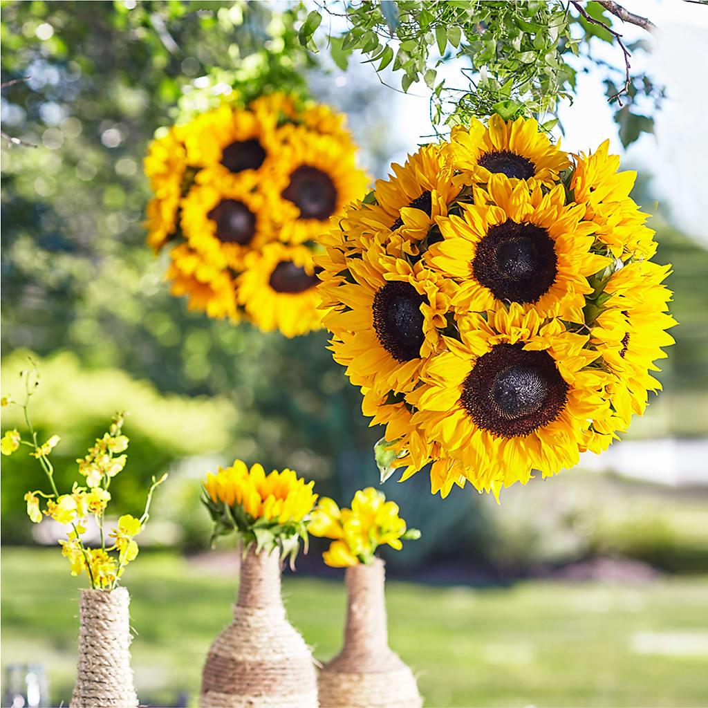Sublime Garden Hanging Arrangement – Daisy Day Florist, Avondale Estates GA