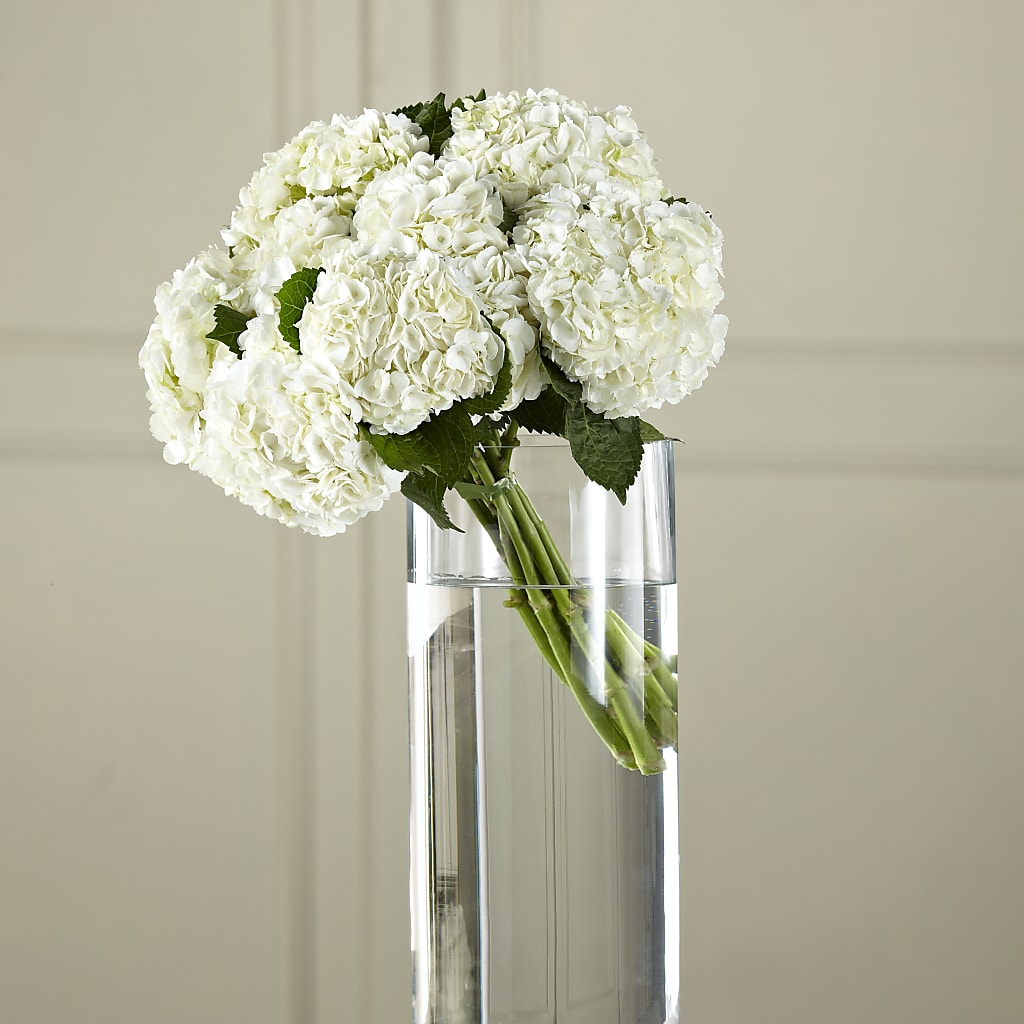 White Hydrangea Hand-Tied Bouquet – Daisy Day Florist, Avondale Estates GA
