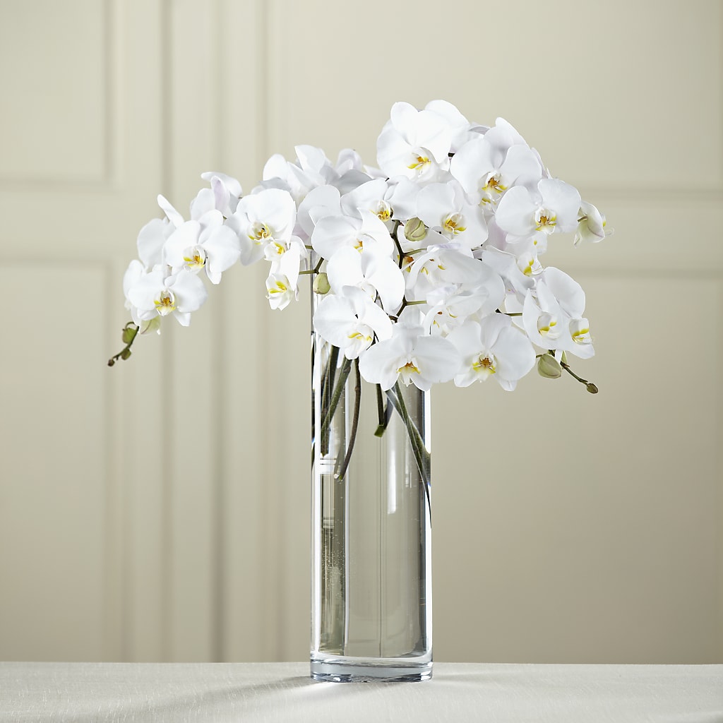 White Phalaenopsis Bouquet – Daisy Day Florist, Avondale Estates GA