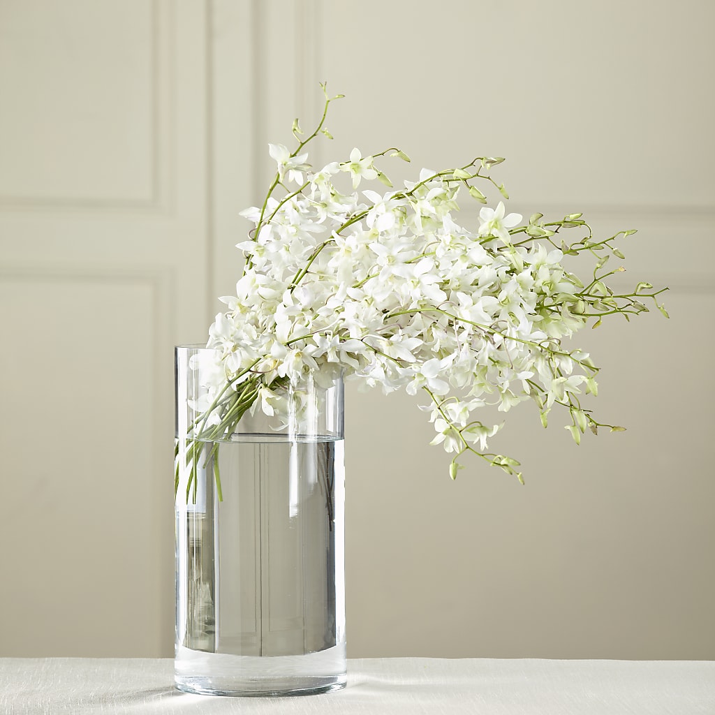 White Dendrobium Bouquet – Daisy Day Florist, Avondale Estates GA
