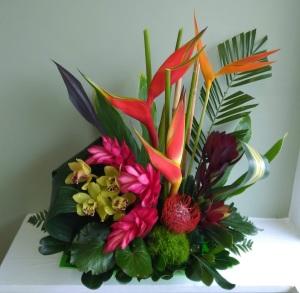Hawaiian Song –  Daisy Day Florist, Avondale Estates GA