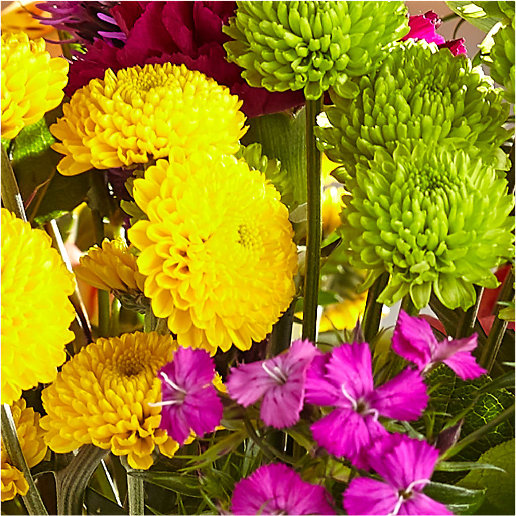 Bold & Bright – A Florist Original –  Daisy Day Florist, Avondale Estates GA