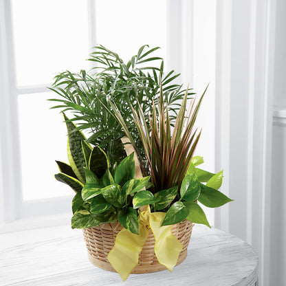 French Garden –  Daisy Day Florist, Avondale Estates GA