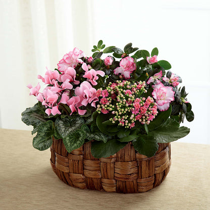 Pink Assortment –  Daisy Day Florist, Avondale Estates GA