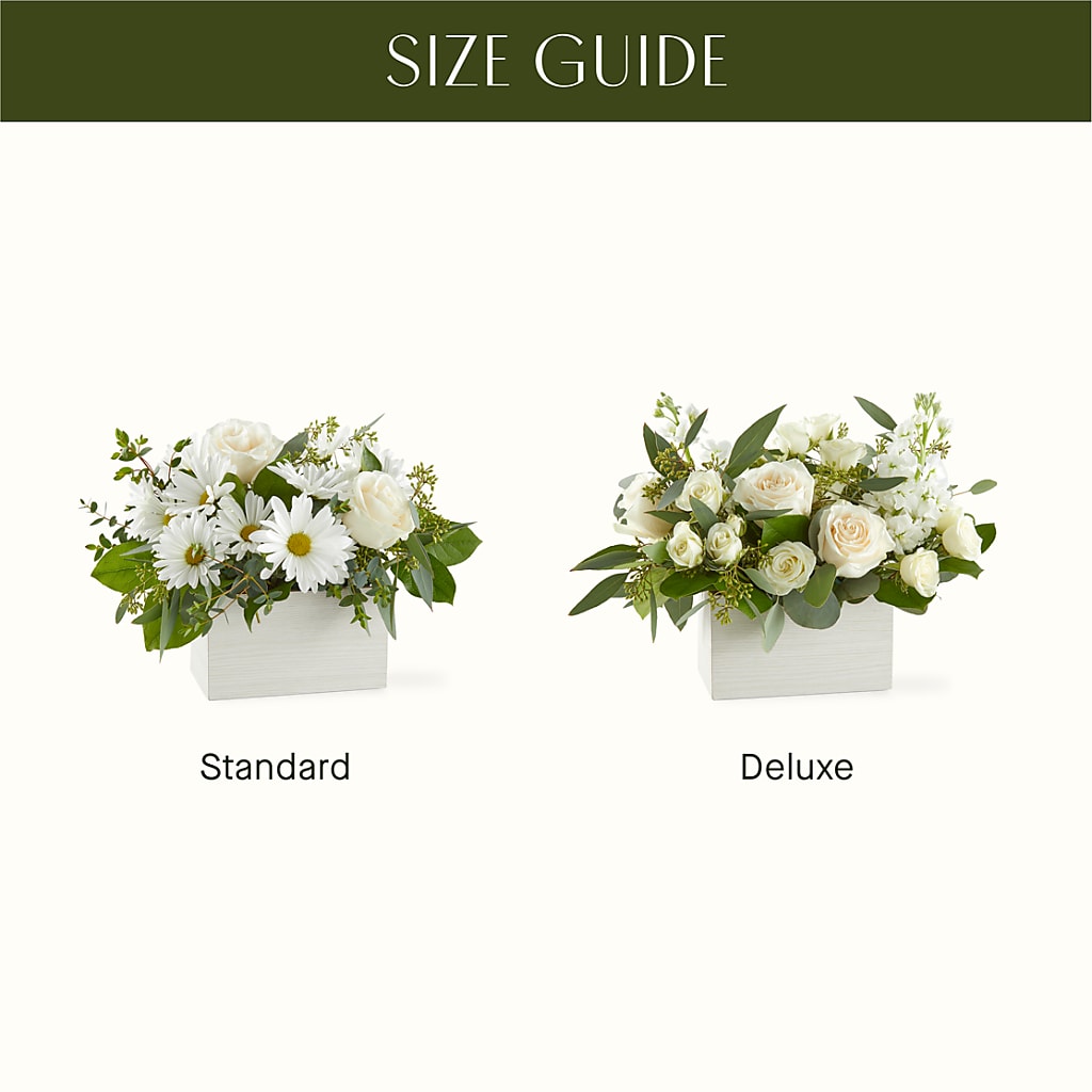 Fresh Linen Box Bouquet –  Daisy Day Florist, Avondale Estates GA