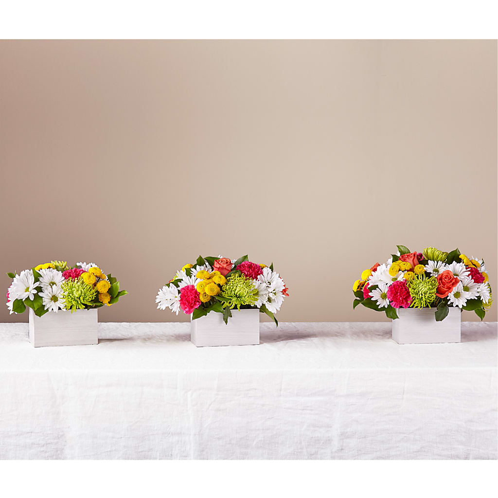 Sorbet Bouquet –  Daisy Day Florist, Avondale Estates GA