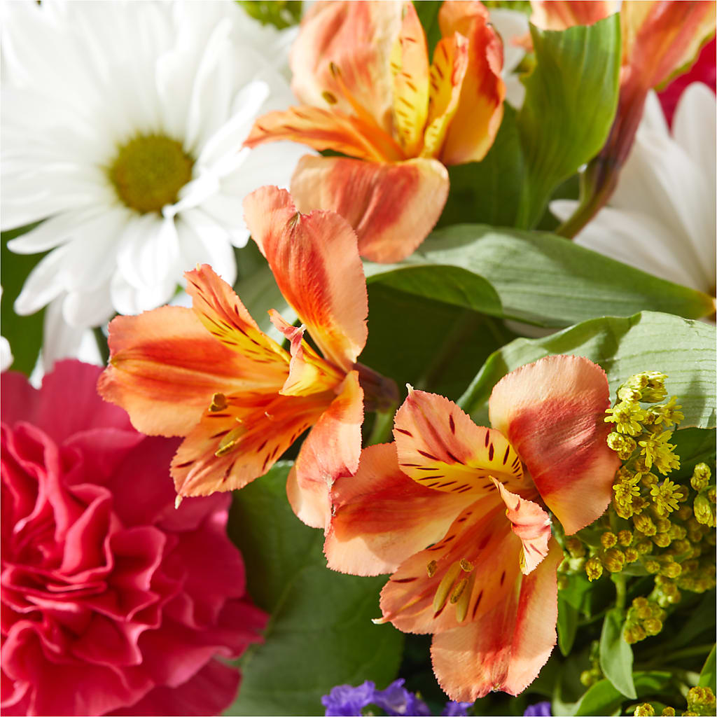 Oopsie Daisy Box Bouquet –  Daisy Day Florist, Avondale Estates GA