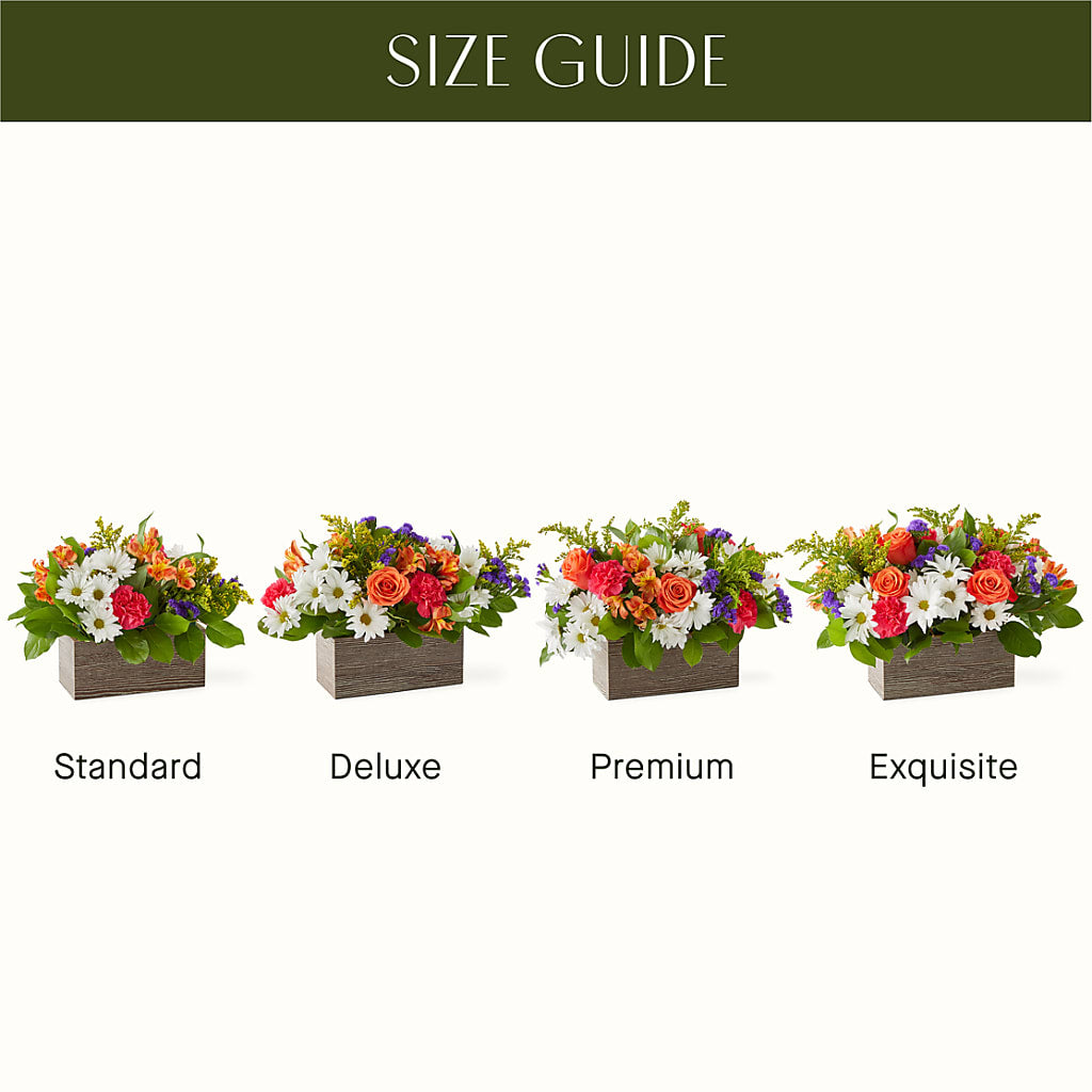 Oopsie Daisy Box Bouquet –  Daisy Day Florist, Avondale Estates GA