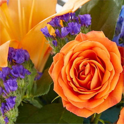 Radiant Citrus Box Bouquet –  Daisy Day Florist, Avondale Estates GA