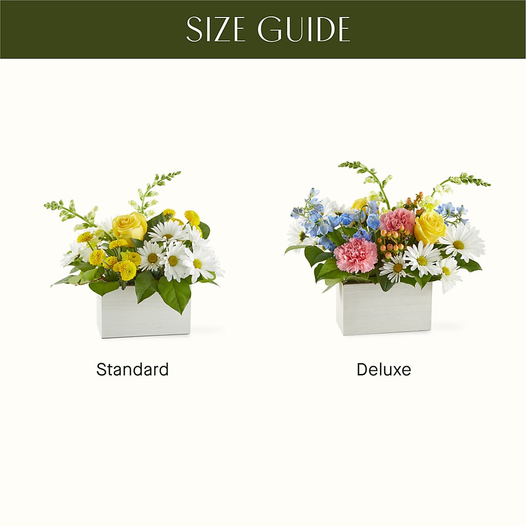 Sun Salutation Box Bouquet –  Daisy Day Florist, Avondale Estates GA