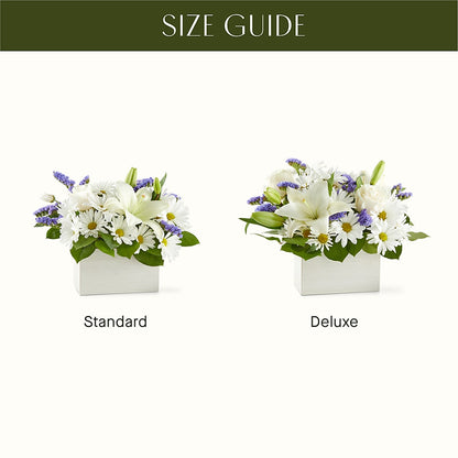 Beyond Blue Box Bouquet –  Daisy Day Florist, Avondale Estates GA