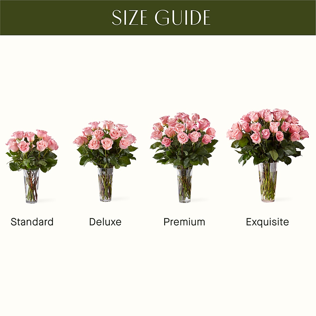 Long Stem Pink Rose Bouquet –  Daisy Day Florist, Avondale Estates GA