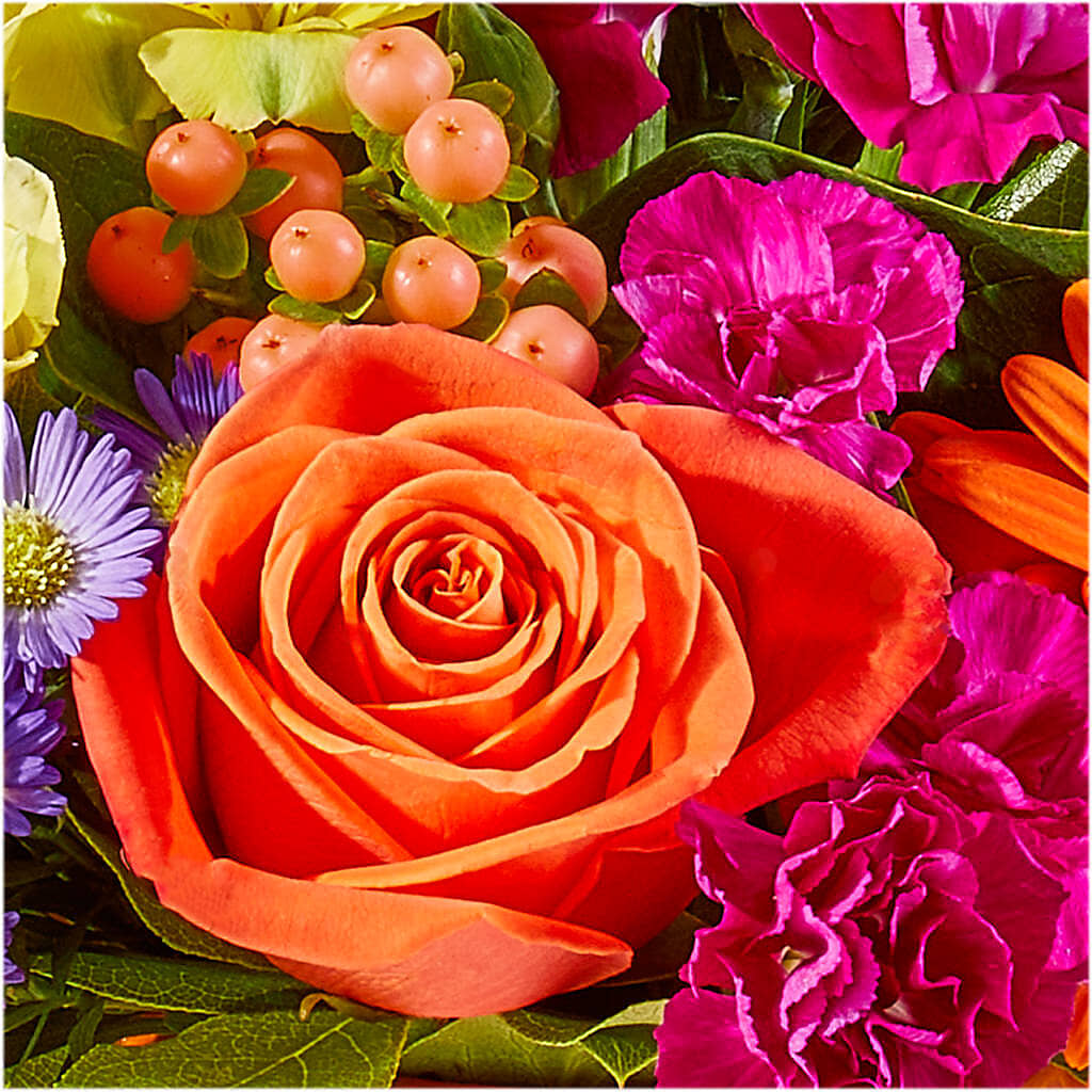 Tricks & Treats Pumpkin –  Daisy Day Florist, Avondale Estates GA
