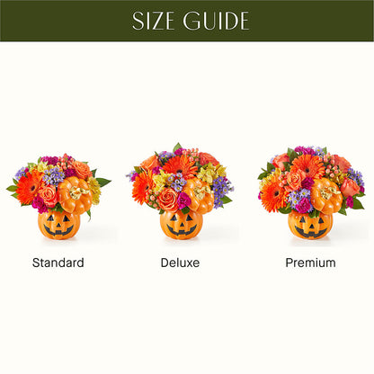 Tricks & Treats Pumpkin –  Daisy Day Florist, Avondale Estates GA