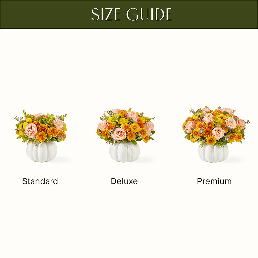 Peachy Pumpkin –  Daisy Day Florist, Avondale Estates GA