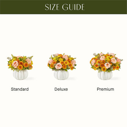 Peachy Pumpkin –  Daisy Day Florist, Avondale Estates GA