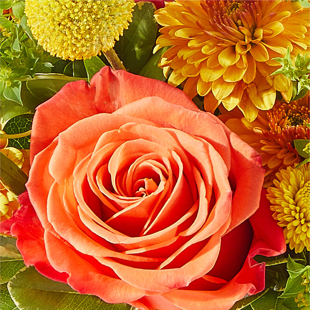 Gourdgeous Pumpkin –  Daisy Day Florist, Avondale Estates GA