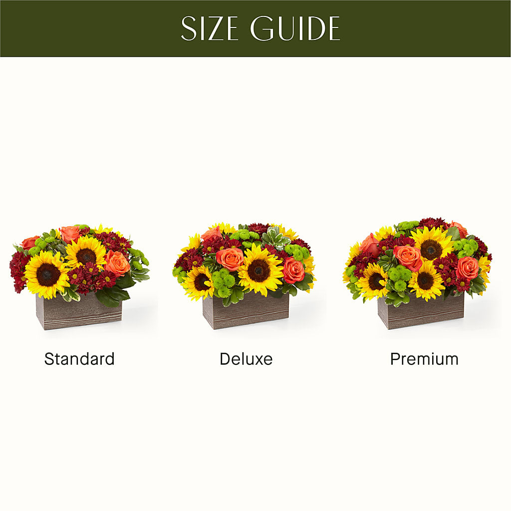 Happy Harvest Garden –  Daisy Day Florist, Avondale Estates GA
