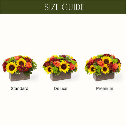 Happy Harvest Garden –  Daisy Day Florist, Avondale Estates GA