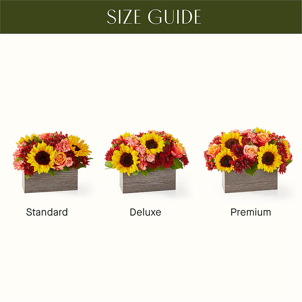 Fresh Cider Bouquet –  Daisy Day Florist, Avondale Estates GA