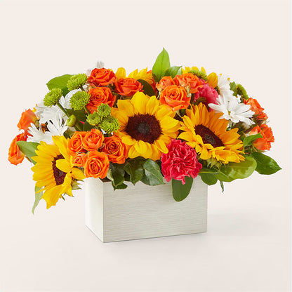 Sun-drenched Blooms Box Bouquet –  Daisy Day Florist, Avondale Estates GA