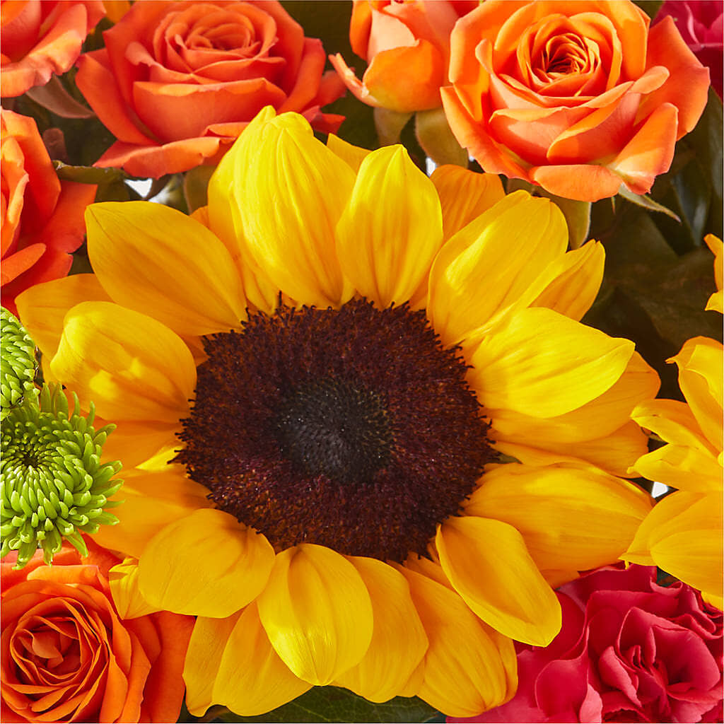Sun-drenched Blooms Box Bouquet –  Daisy Day Florist, Avondale Estates GA