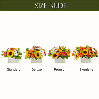 Sun-drenched Blooms Box Bouquet –  Daisy Day Florist, Avondale Estates GA