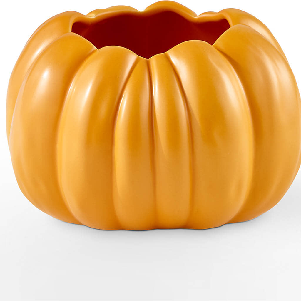 Golden Gourd Pumpkin Bouquet –  Daisy Day Florist, Avondale Estates GA