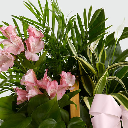 Living Spirit Dishgarden –  Daisy Day Florist, Avondale Estates GA