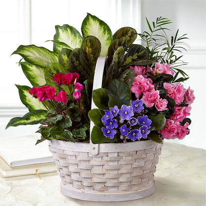 Peaceful Garden Planter –  Daisy Day Florist, Avondale Estates GA
