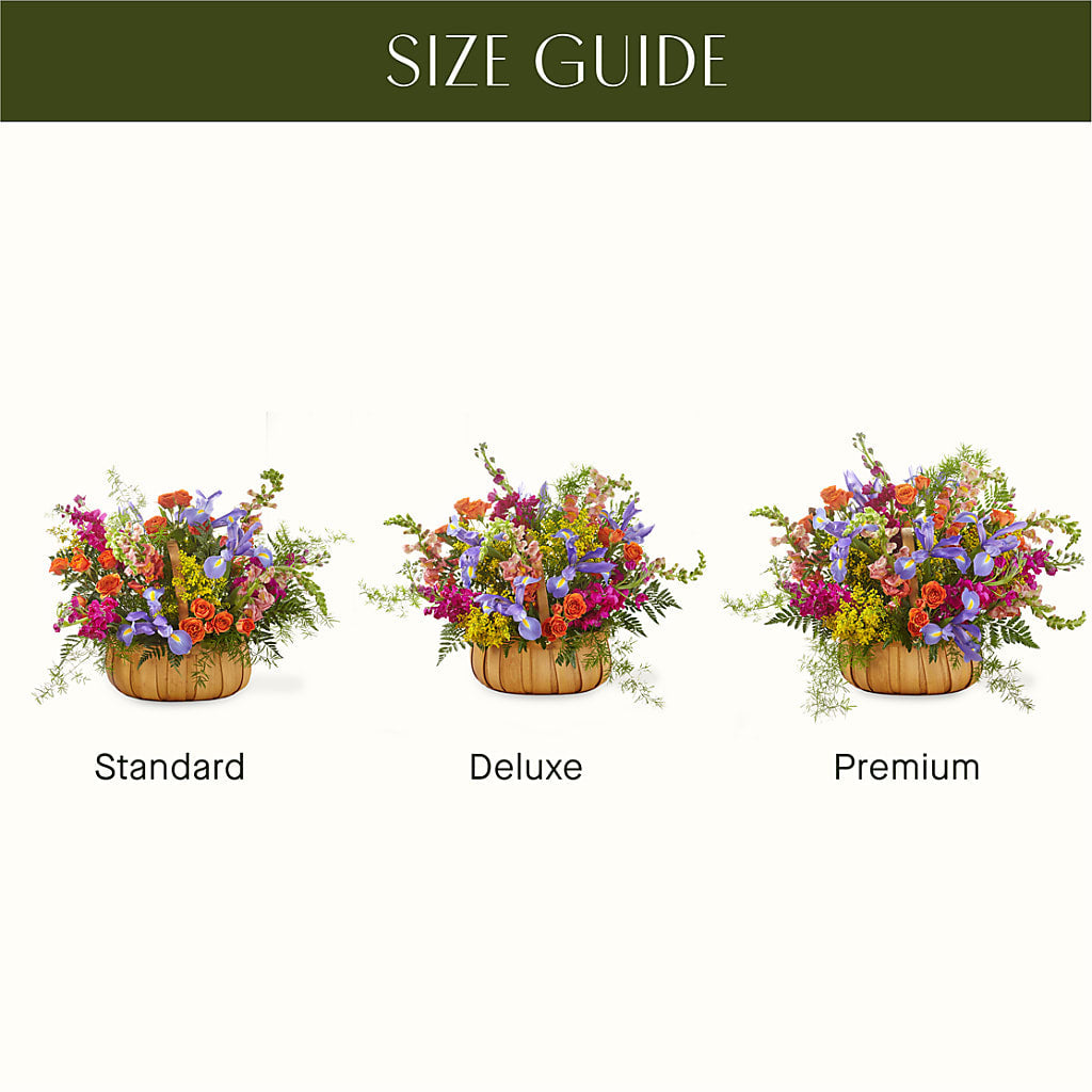 Garden of Life Basket –  Daisy Day Florist, Avondale Estates GA