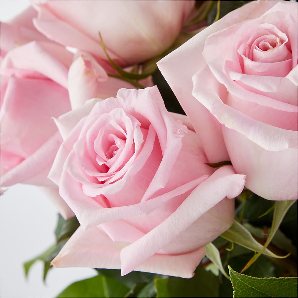 Picture Perfect Pink Rose Bouquet –  Daisy Day Florist, Avondale Estates GA
