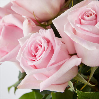 Picture Perfect Pink Rose Bouquet –  Daisy Day Florist, Avondale Estates GA