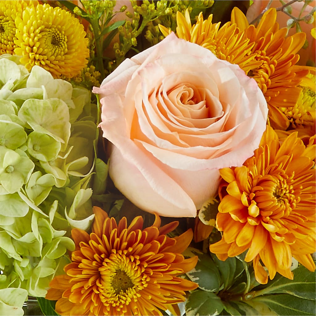 Fall Foliage Bouquet –  Daisy Day Florist, Avondale Estates GA