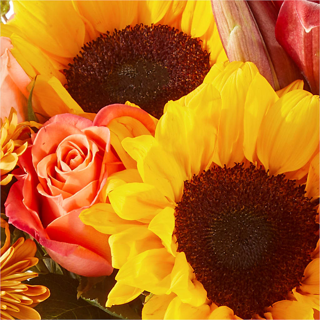 Acorn Lane Bouquet –  Daisy Day Florist, Avondale Estates GA