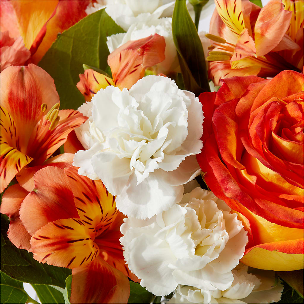 Apricot Glow Bouquet –  Daisy Day Florist, Avondale Estates GA