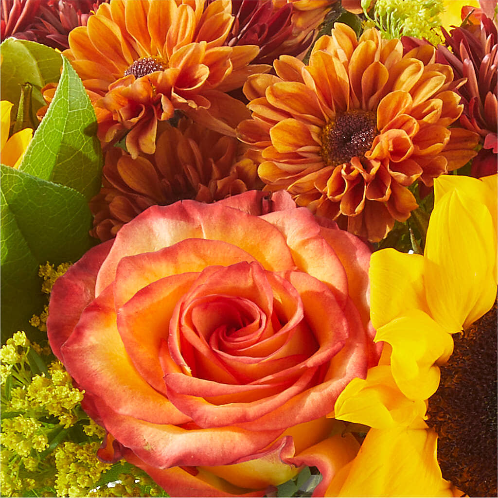 Flannel Scarf Bouquet –  Daisy Day Florist, Avondale Estates GA